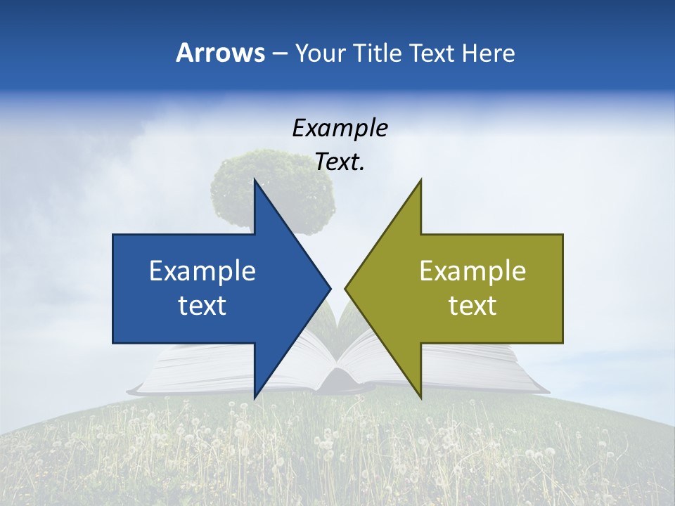 Background Green Studying PowerPoint Template