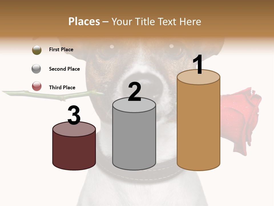 Animal Dog Heart PowerPoint Template