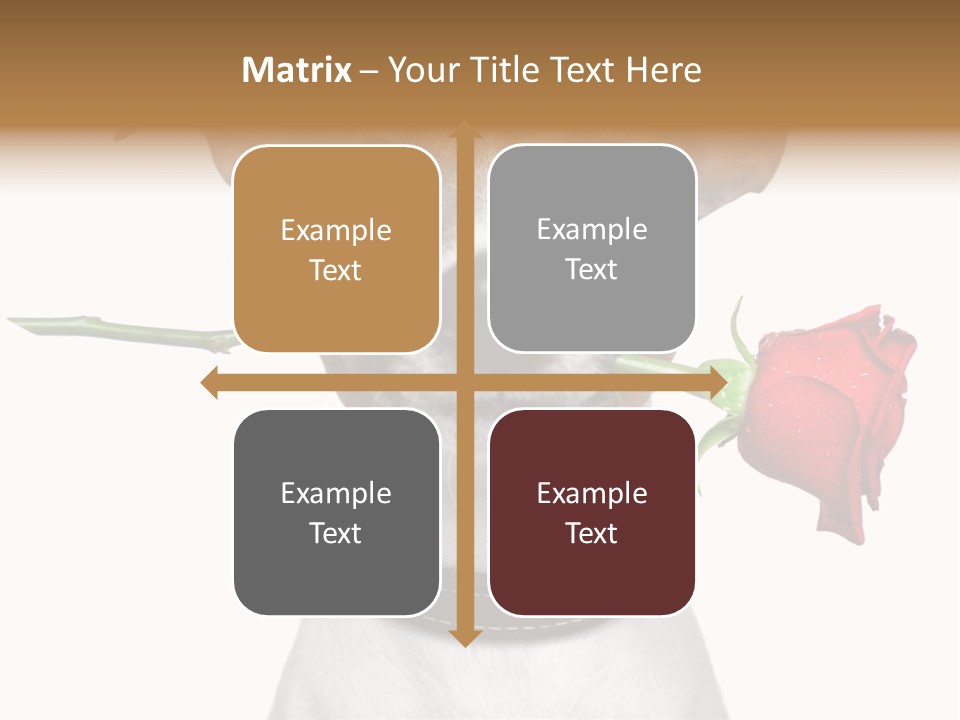 Animal Dog Heart PowerPoint Template