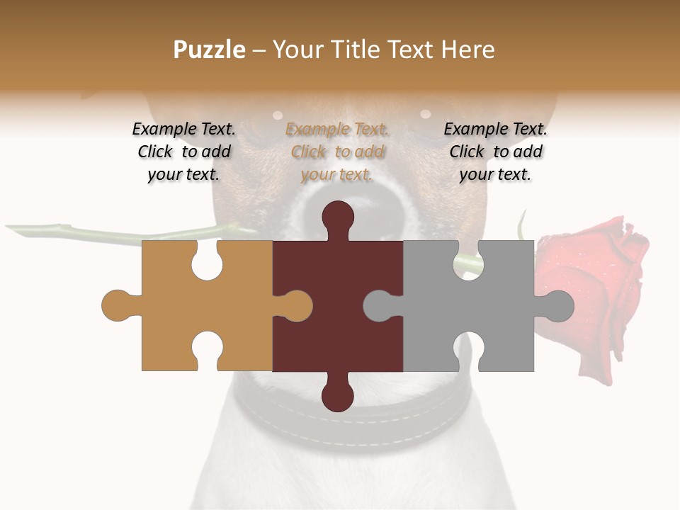 Animal Dog Heart PowerPoint Template