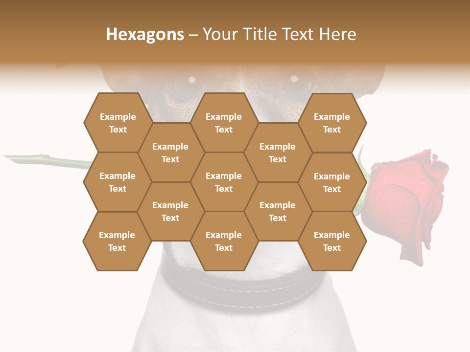 Animal Dog Heart PowerPoint Template