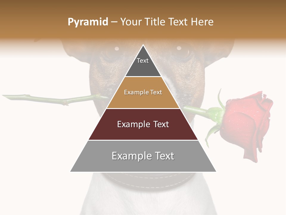 Animal Dog Heart PowerPoint Template