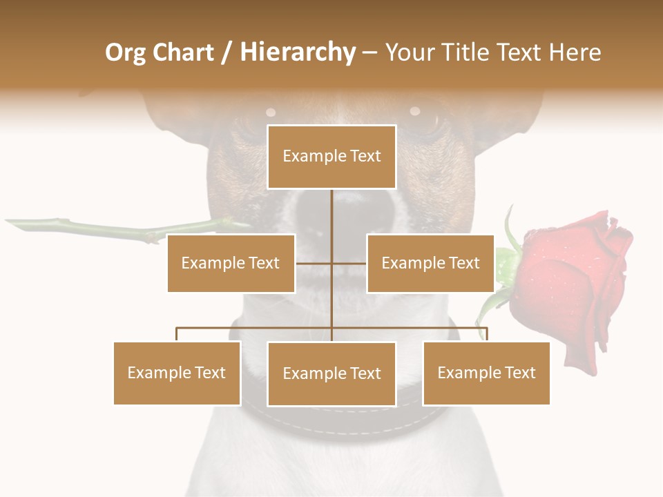 Animal Dog Heart PowerPoint Template