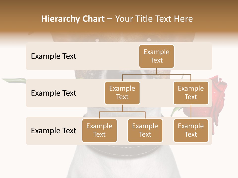 Animal Dog Heart PowerPoint Template