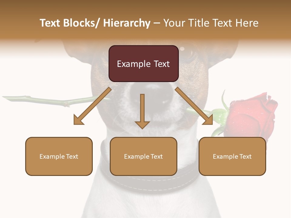 Animal Dog Heart PowerPoint Template