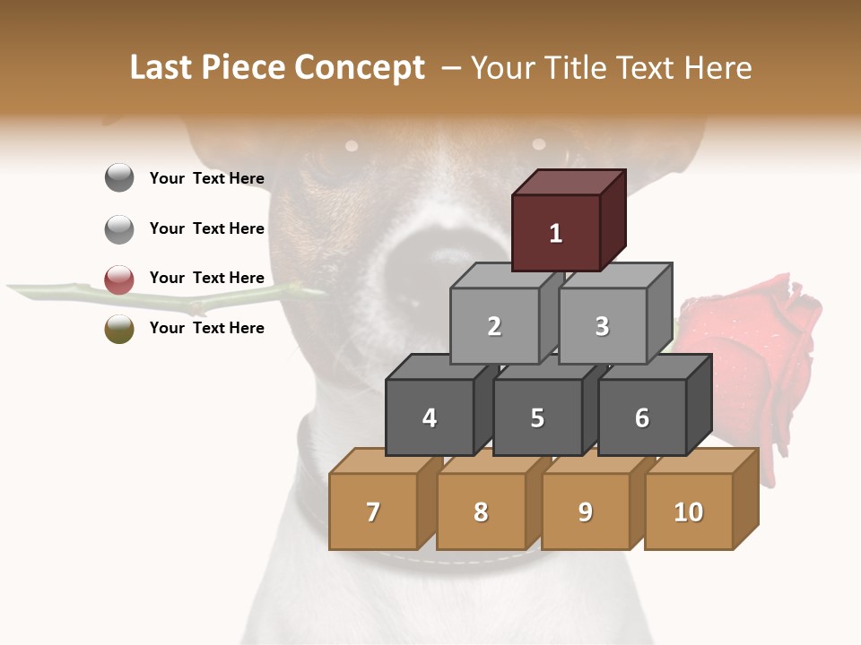 Animal Dog Heart PowerPoint Template