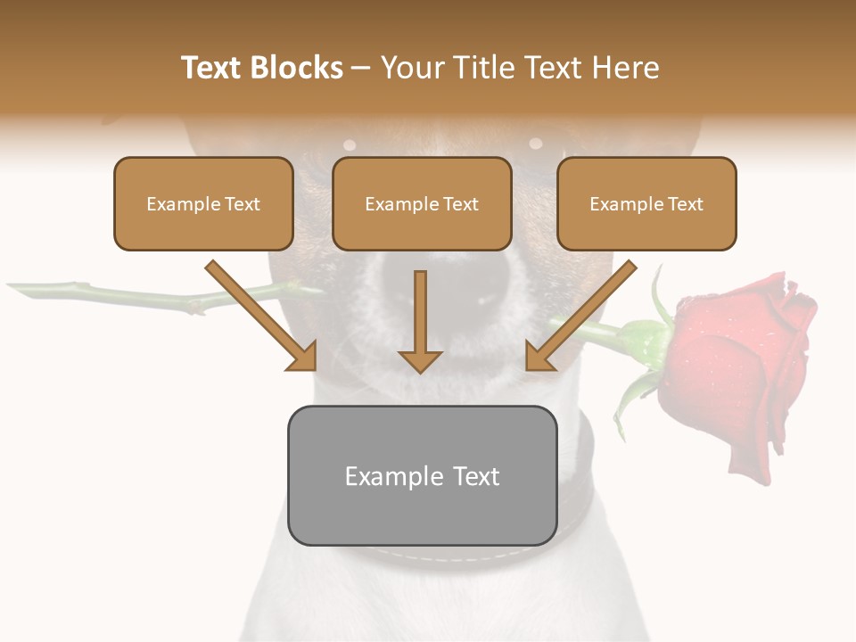 Animal Dog Heart PowerPoint Template