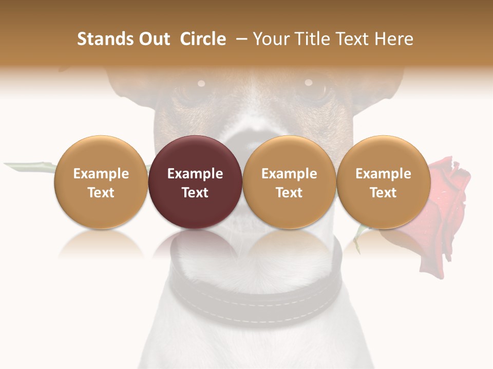 Animal Dog Heart PowerPoint Template