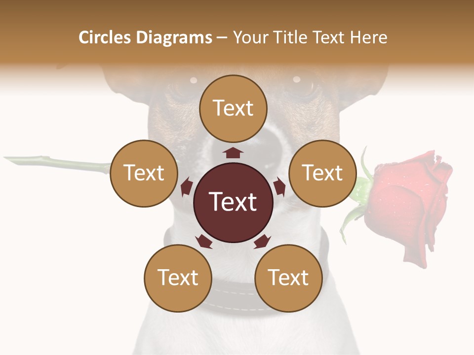 Animal Dog Heart PowerPoint Template