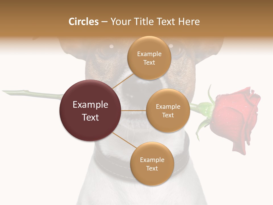 Animal Dog Heart PowerPoint Template