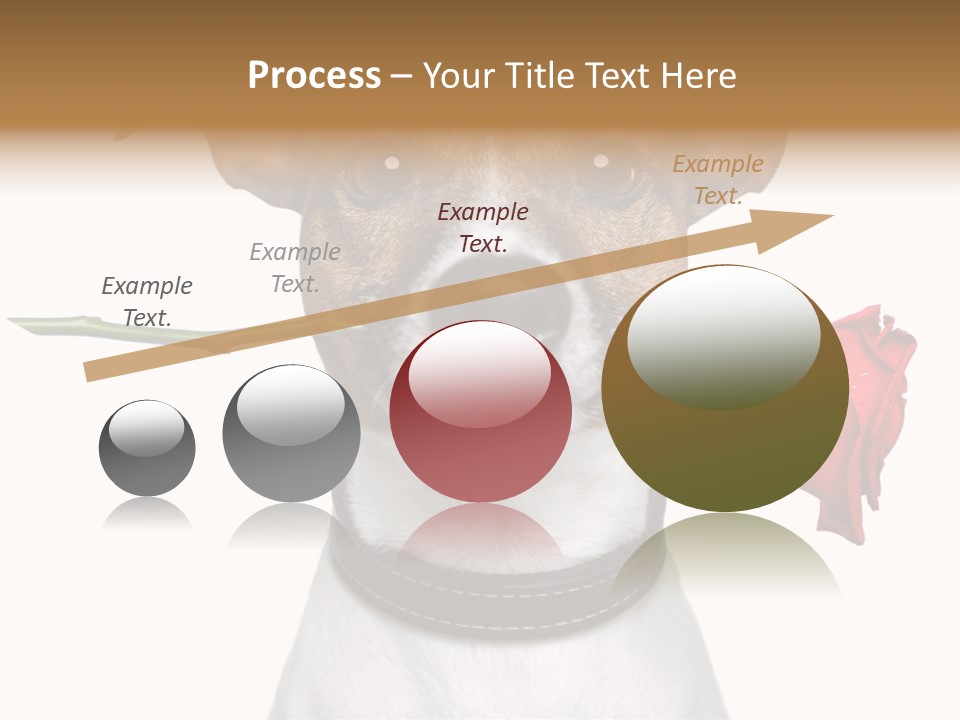 Animal Dog Heart PowerPoint Template