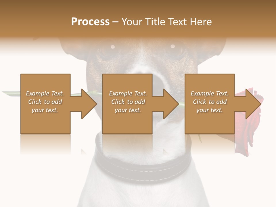 Animal Dog Heart PowerPoint Template