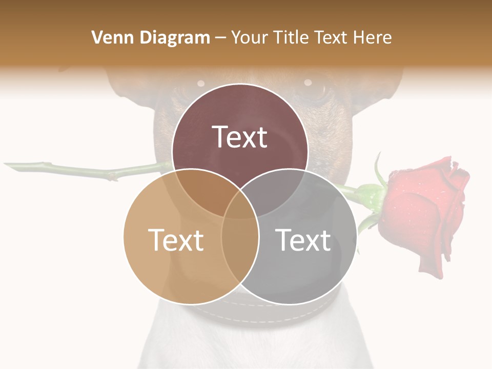 Animal Dog Heart PowerPoint Template