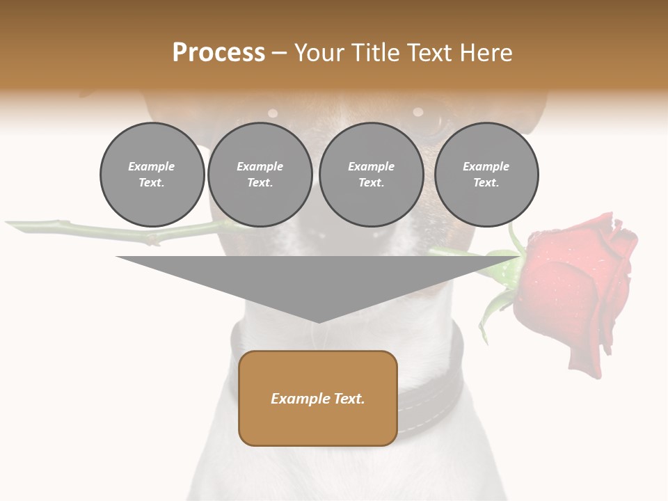 Animal Dog Heart PowerPoint Template