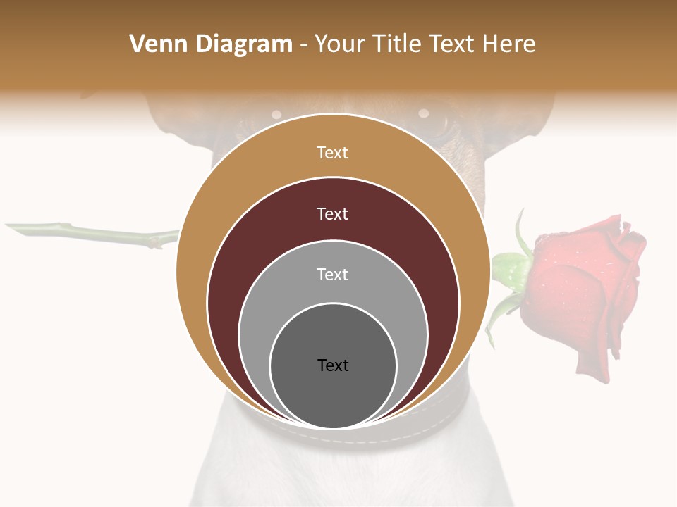 Animal Dog Heart PowerPoint Template