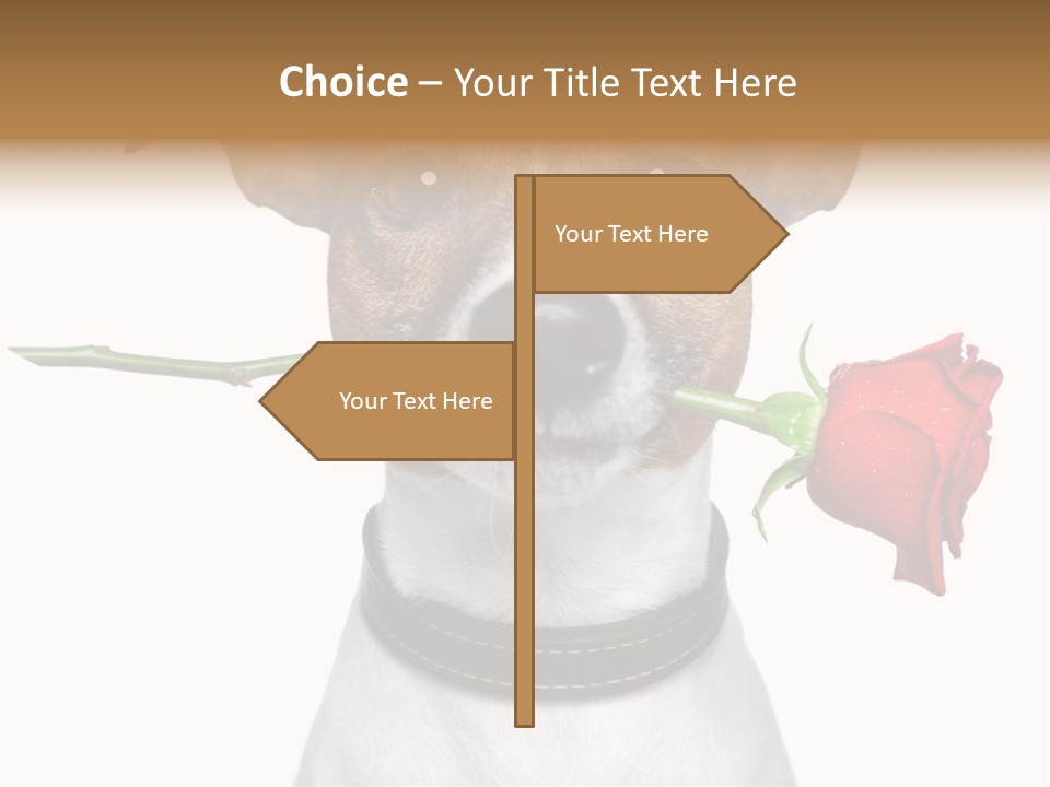 Animal Dog Heart PowerPoint Template