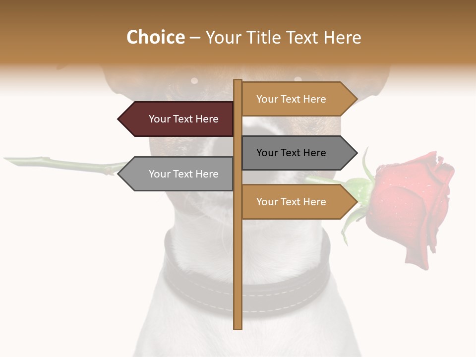 Animal Dog Heart PowerPoint Template