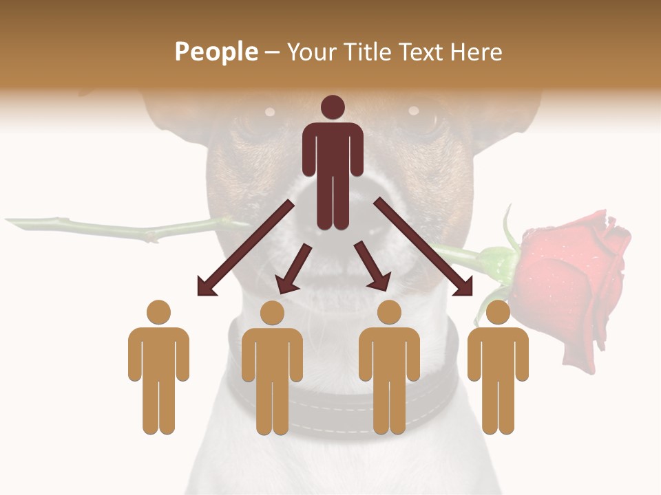 Animal Dog Heart PowerPoint Template