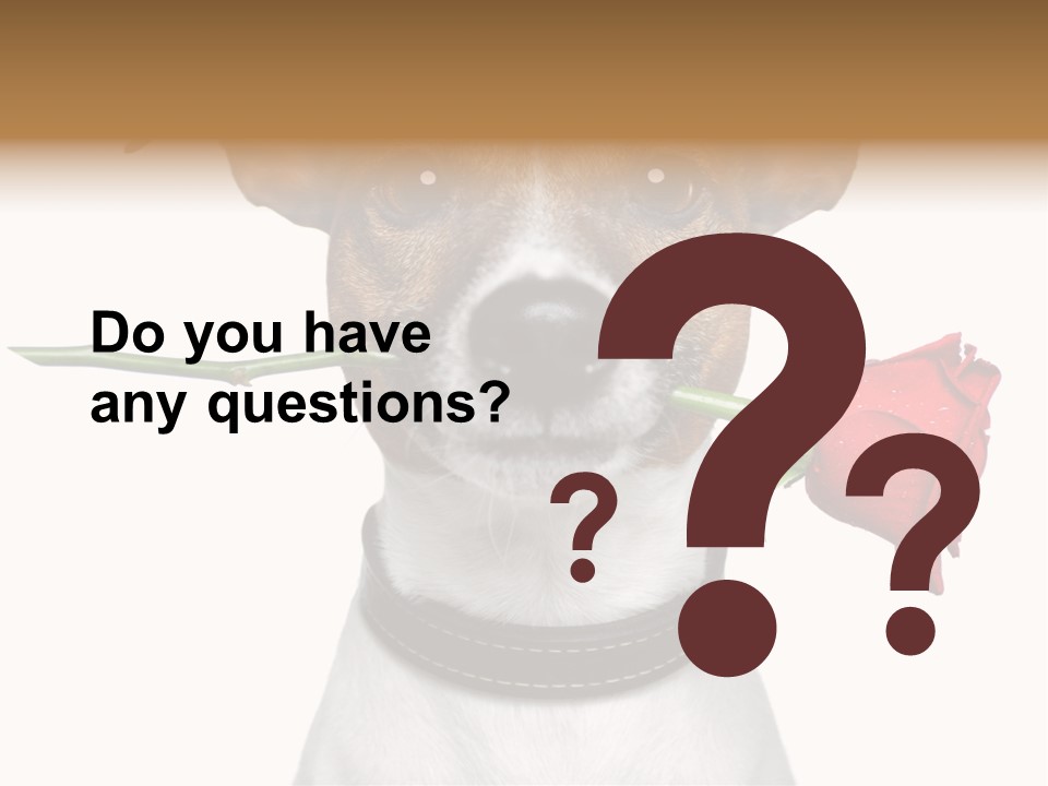 Animal Dog Heart PowerPoint Template