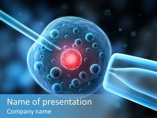 Clone Egg Biotope PowerPoint Template