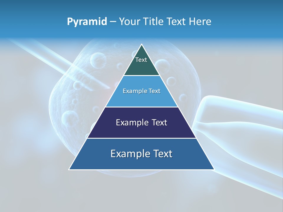 Clone Egg Biotope PowerPoint Template