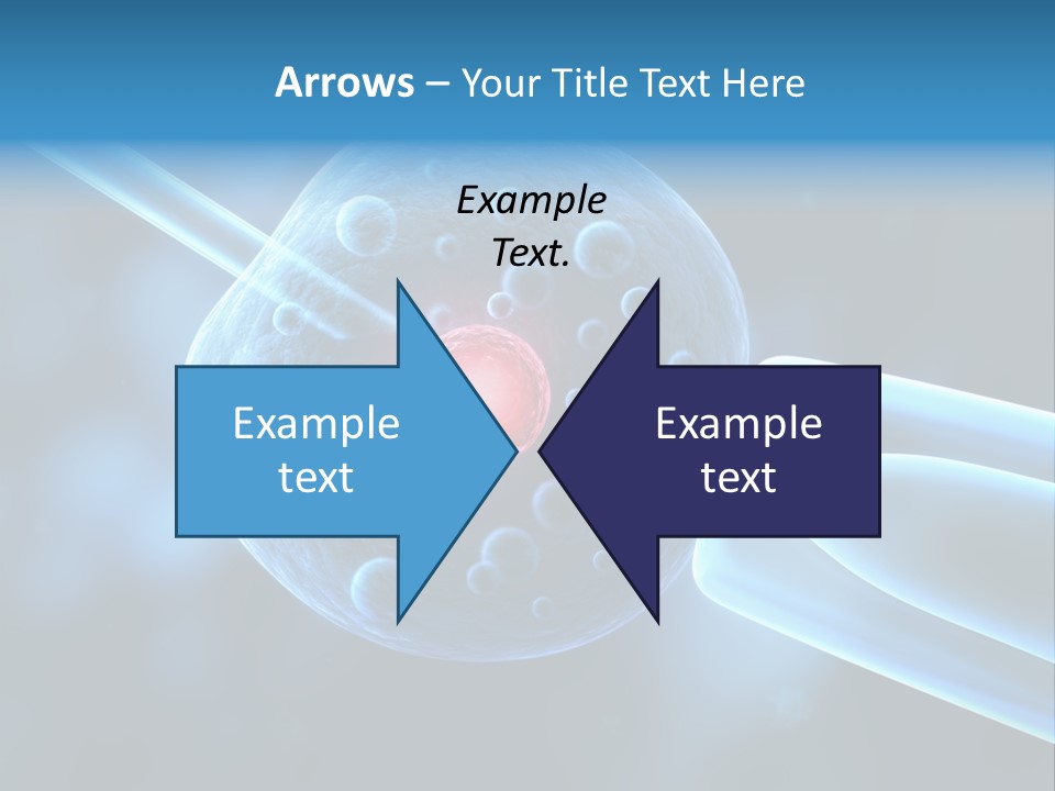 Clone Egg Biotope PowerPoint Template