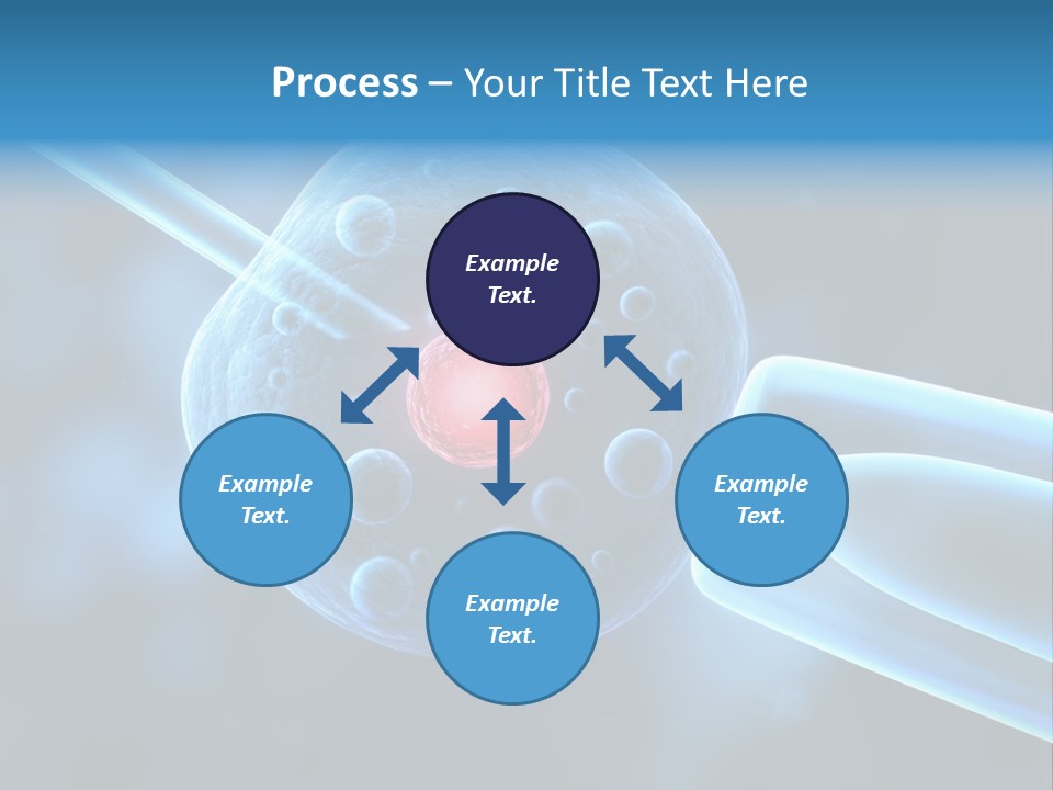Clone Egg Biotope PowerPoint Template