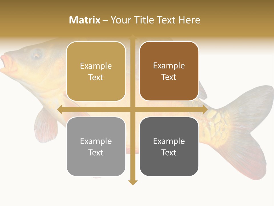 Carp Omega  Marine Life PowerPoint Template