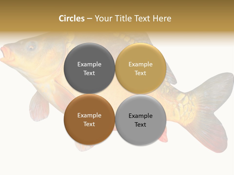 Carp Omega  Marine Life PowerPoint Template