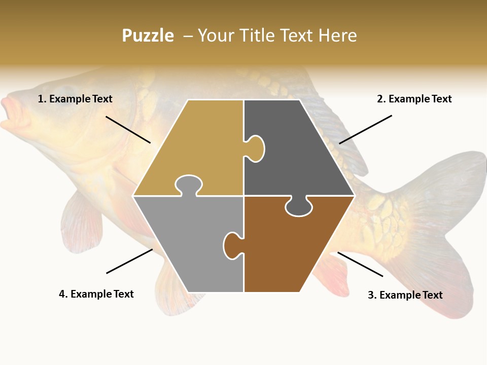 Carp Omega  Marine Life PowerPoint Template