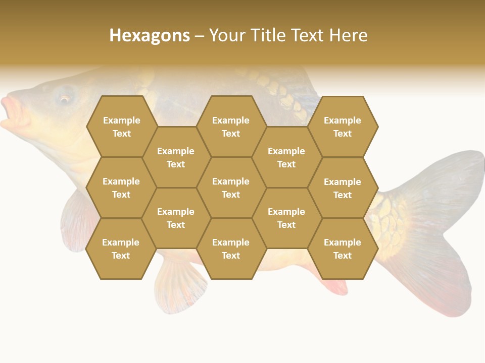 Carp Omega  Marine Life PowerPoint Template