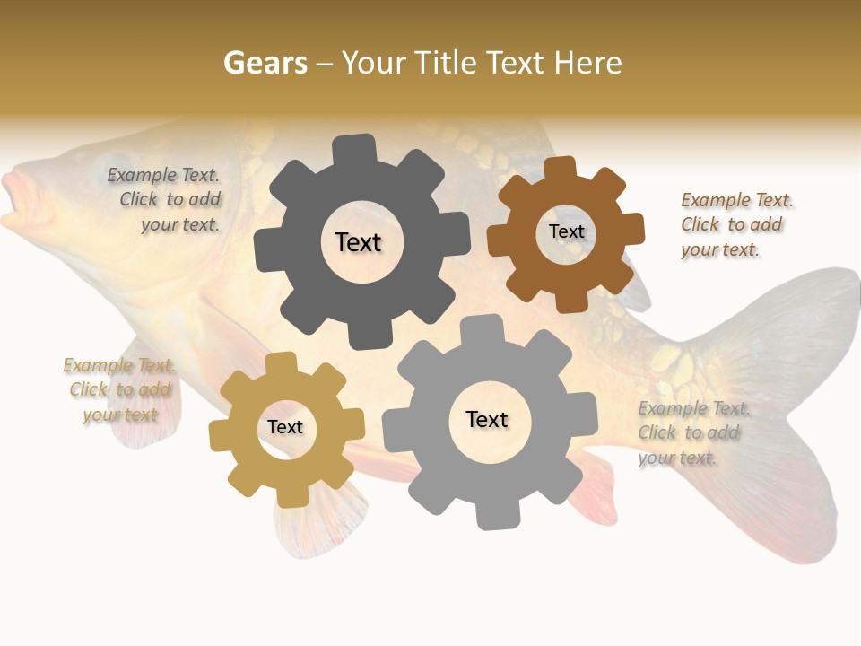 Carp Omega  Marine Life PowerPoint Template