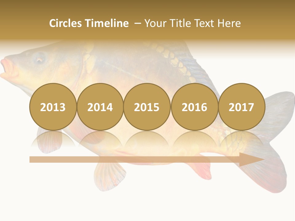 Carp Omega  Marine Life PowerPoint Template