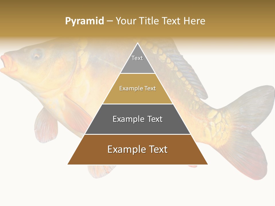 Carp Omega  Marine Life PowerPoint Template