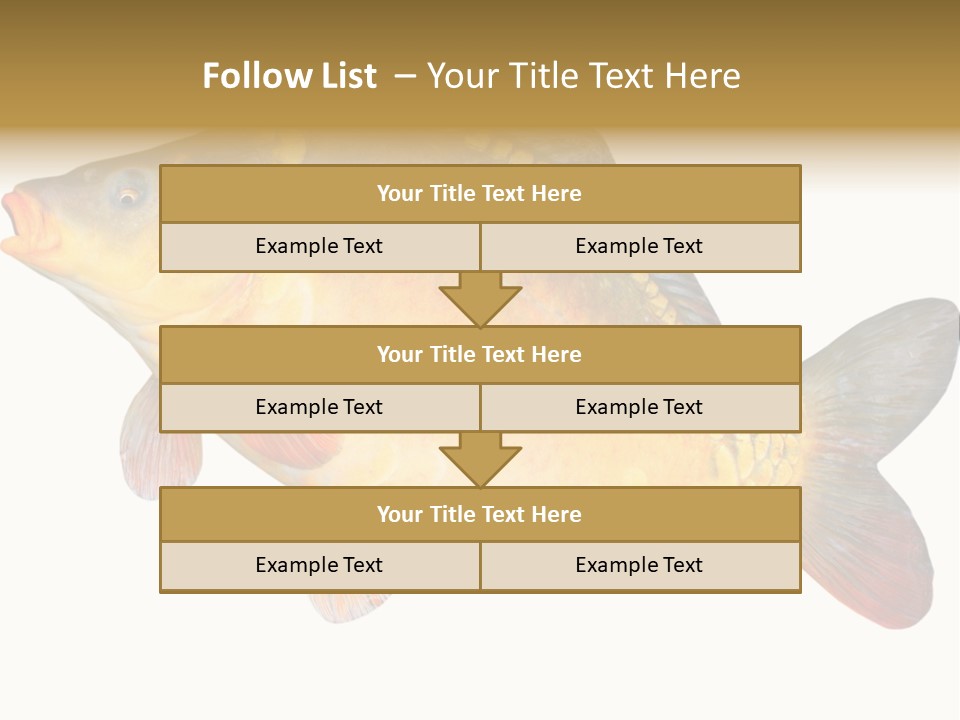 Carp Omega  Marine Life PowerPoint Template