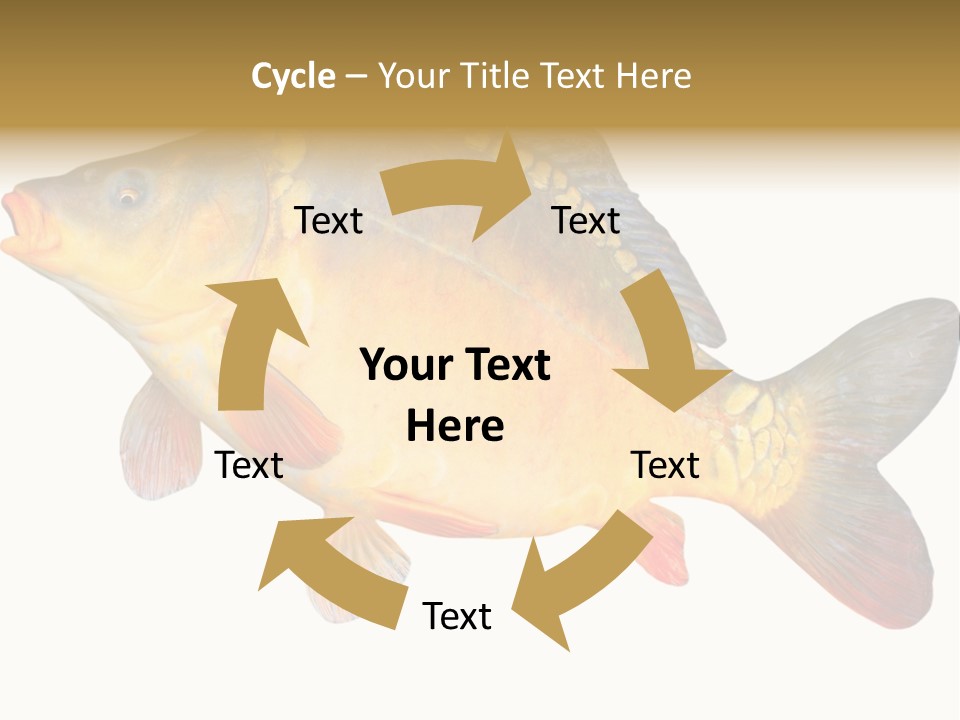 Carp Omega  Marine Life PowerPoint Template