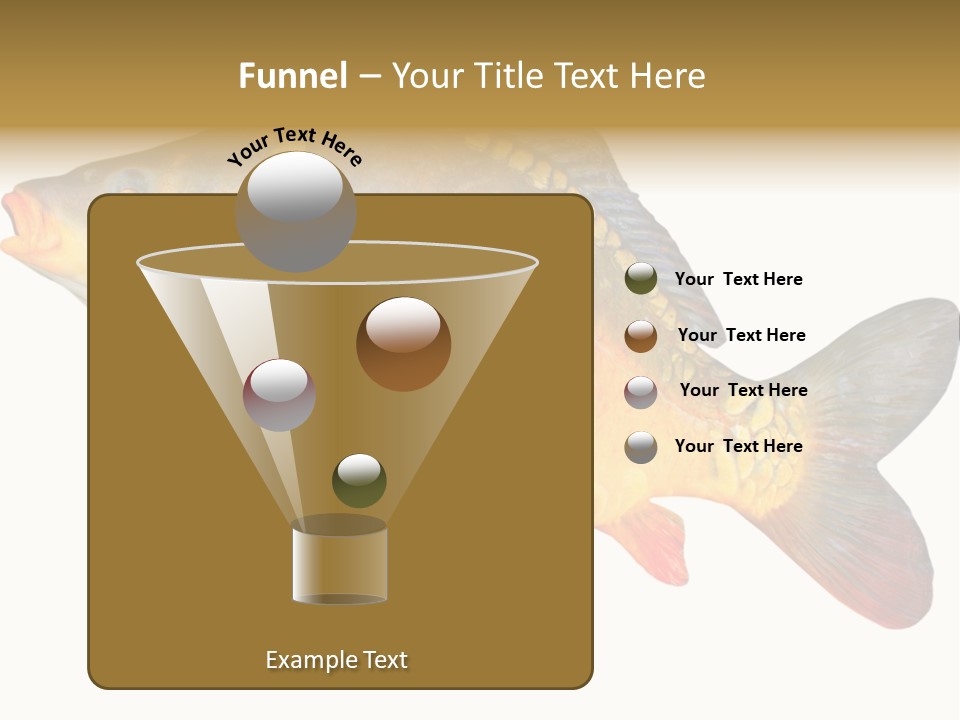 Carp Omega  Marine Life PowerPoint Template