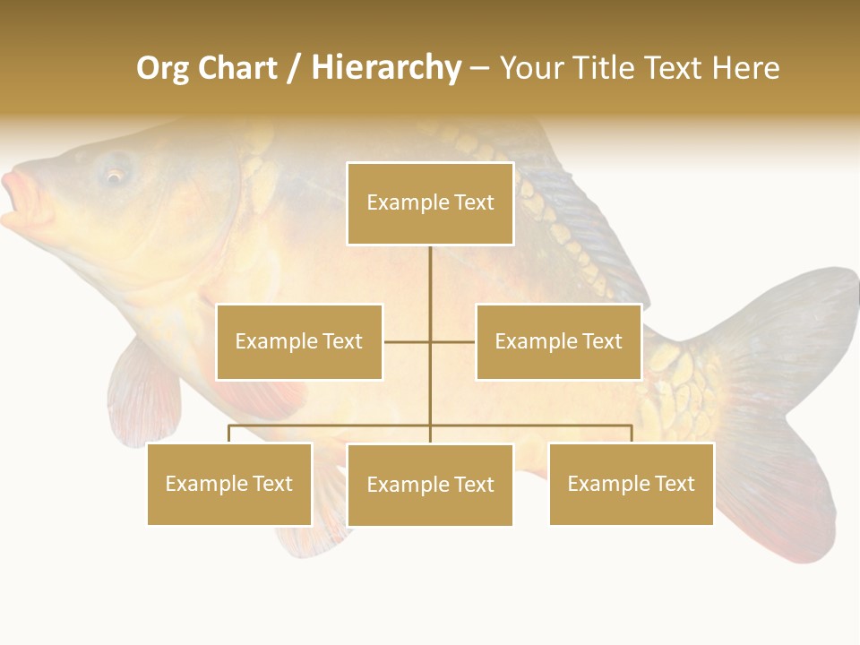 Carp Omega  Marine Life PowerPoint Template
