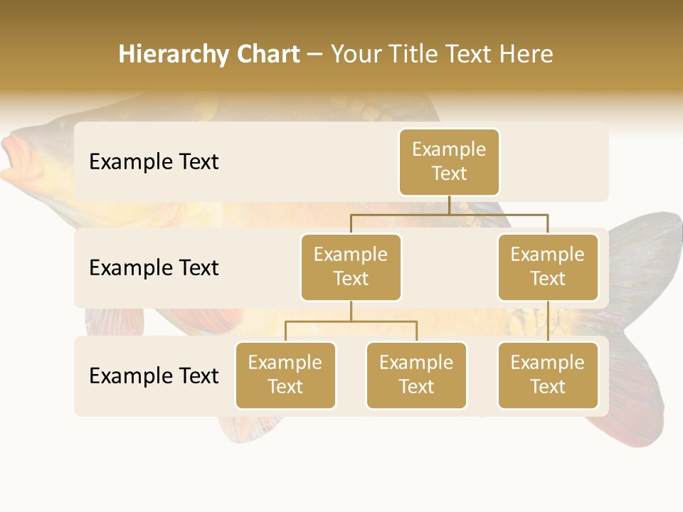 Carp Omega  Marine Life PowerPoint Template