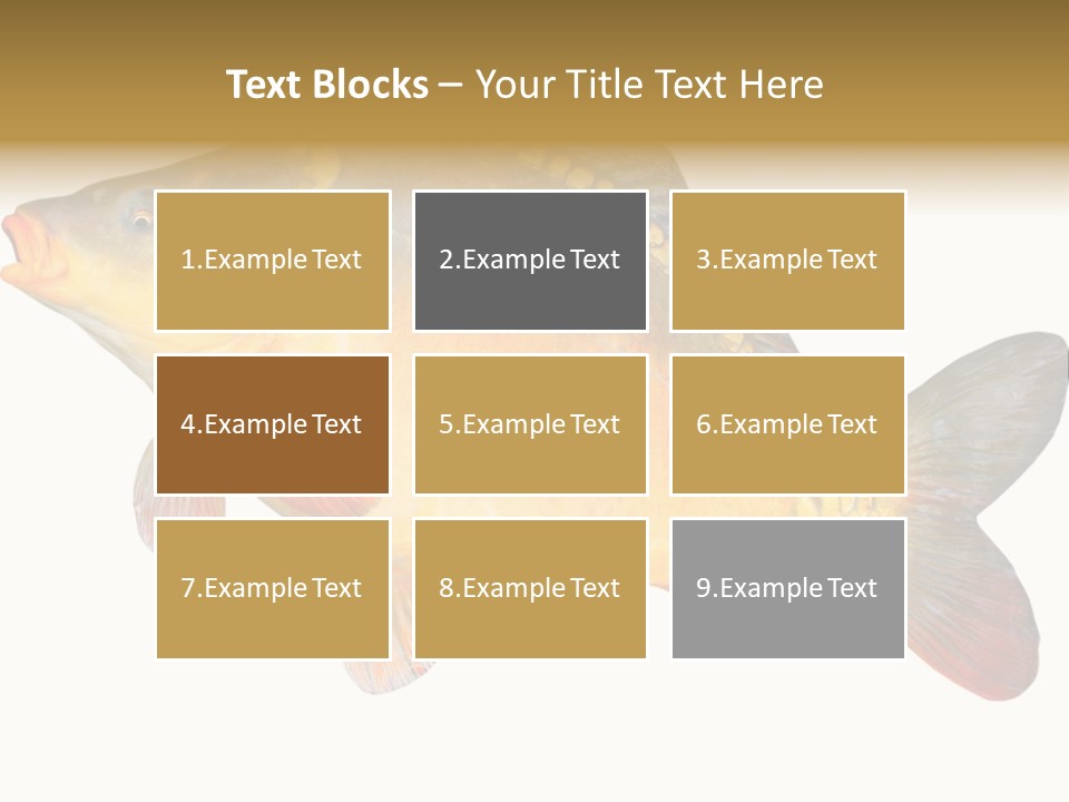 Carp Omega  Marine Life PowerPoint Template