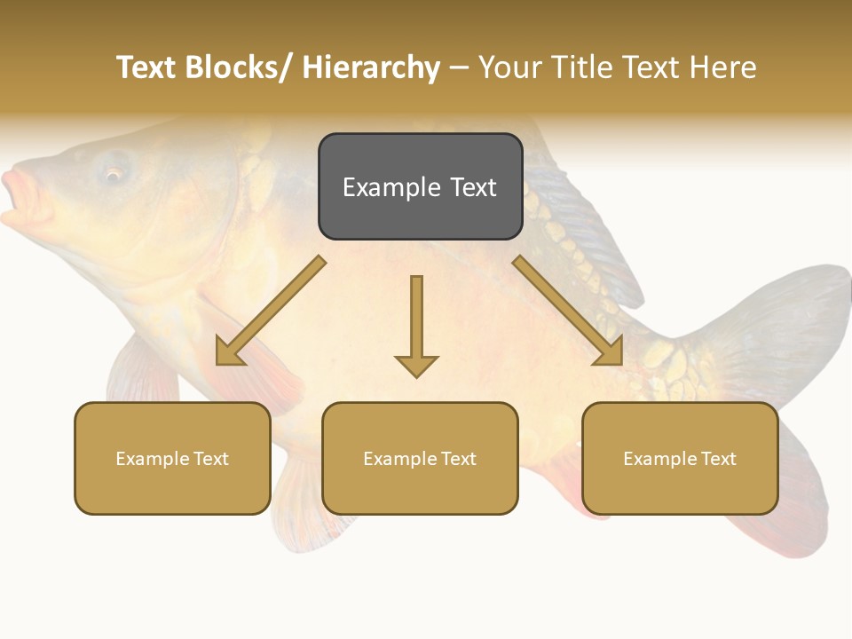 Carp Omega  Marine Life PowerPoint Template