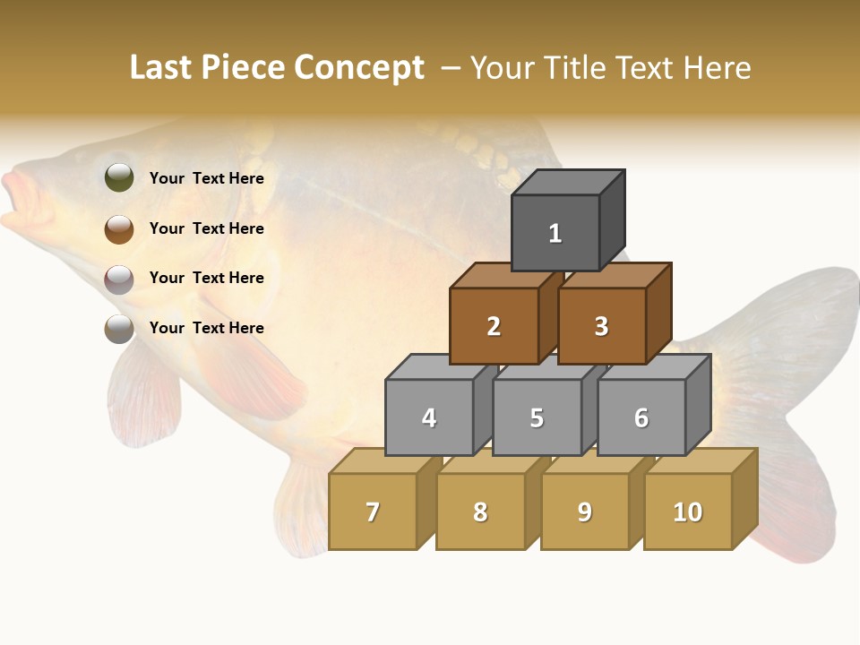 Carp Omega  Marine Life PowerPoint Template