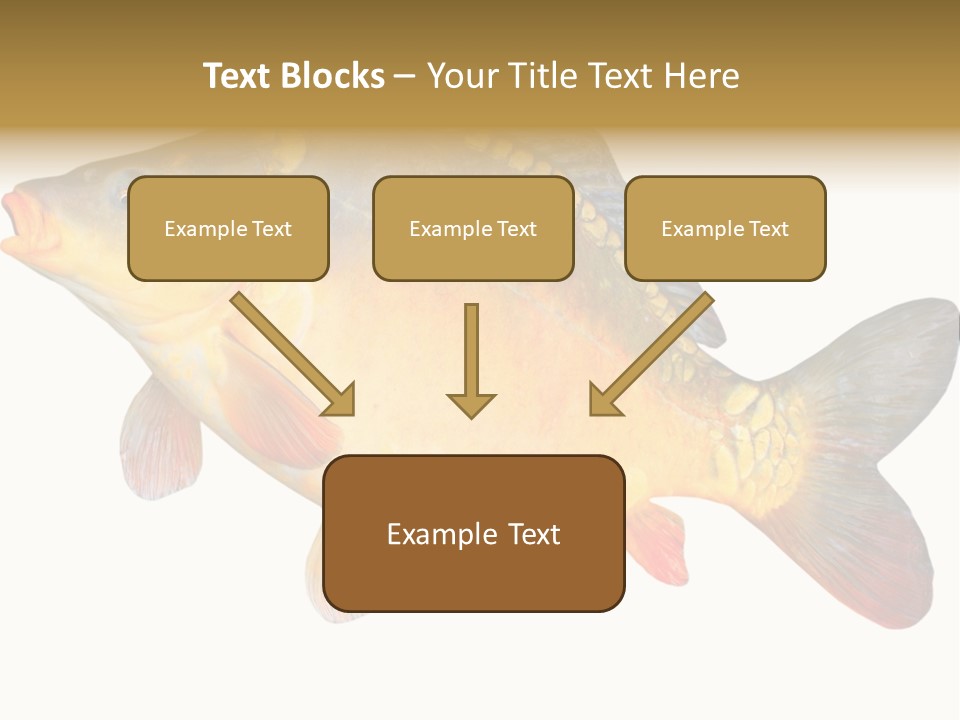 Carp Omega  Marine Life PowerPoint Template