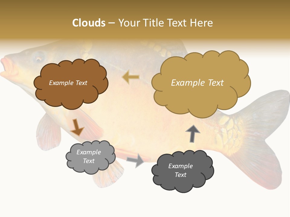 Carp Omega  Marine Life PowerPoint Template