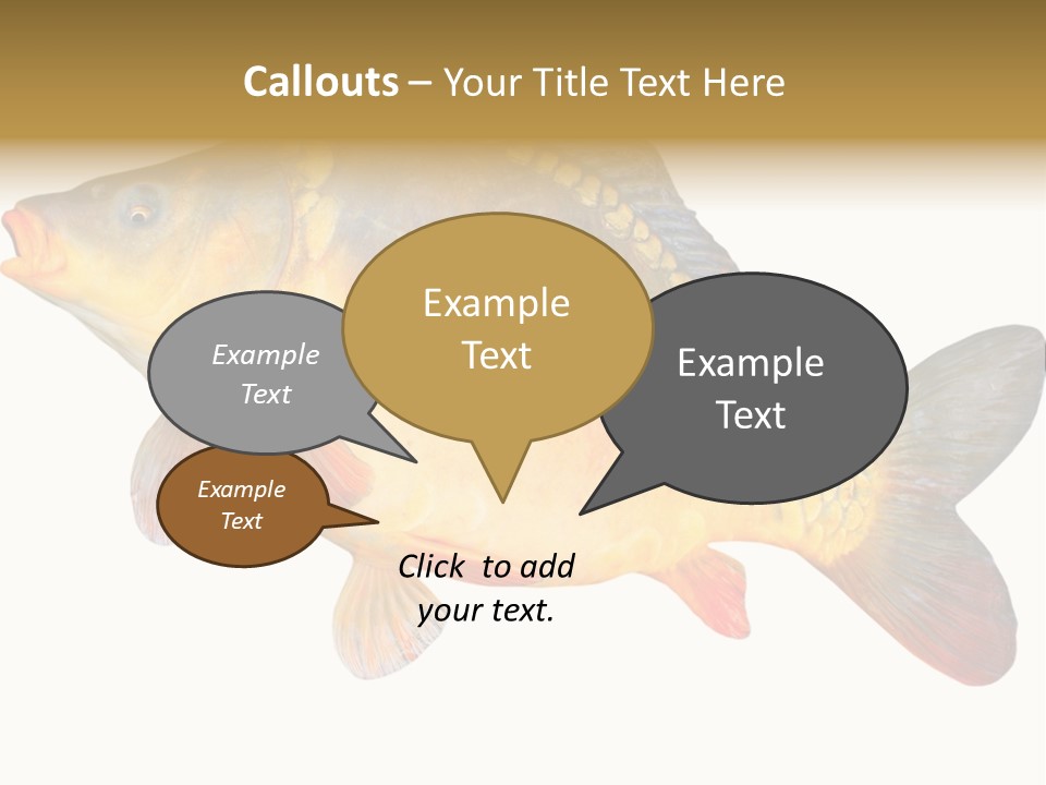 Carp Omega  Marine Life PowerPoint Template