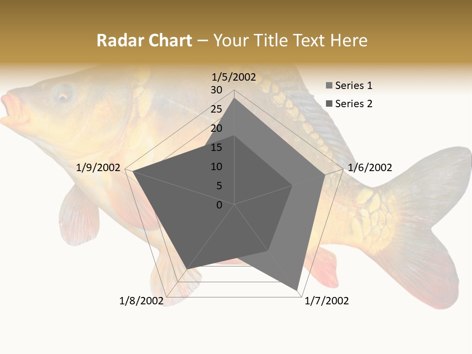 Carp Omega  Marine Life PowerPoint Template