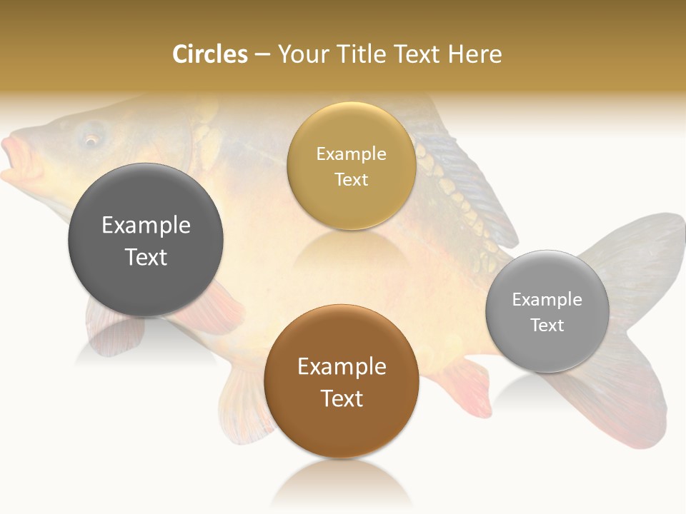 Carp Omega  Marine Life PowerPoint Template