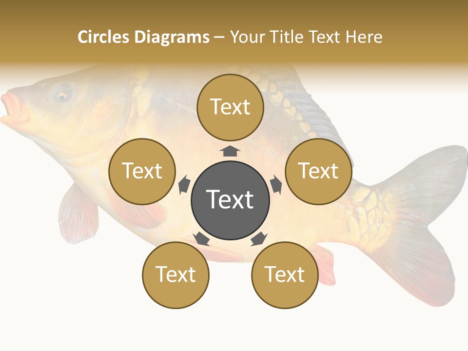 Carp Omega  Marine Life PowerPoint Template