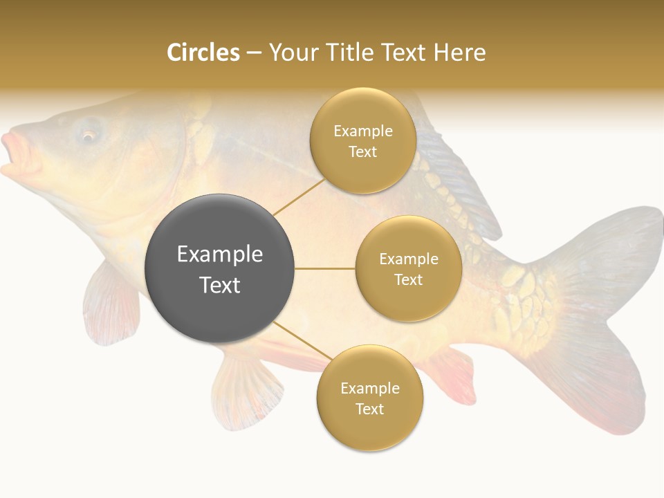 Carp Omega  Marine Life PowerPoint Template