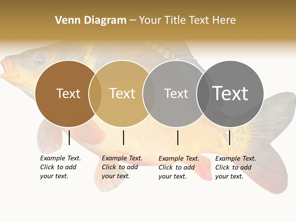 Carp Omega  Marine Life PowerPoint Template